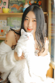 捉仙记